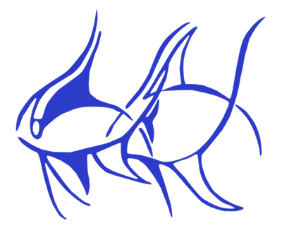 Logo oder Bild
